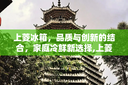 上菱冰箱，品质与创新的结合，家庭冷鲜新选择,上菱冰箱品牌怎么样