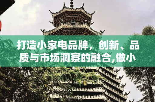 打造小家电品牌，创新、品质与市场洞察的融合,做小家电的品牌