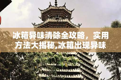 冰箱异味清除全攻略，实用方法大揭秘,冰箱出现异味有什么办法清除