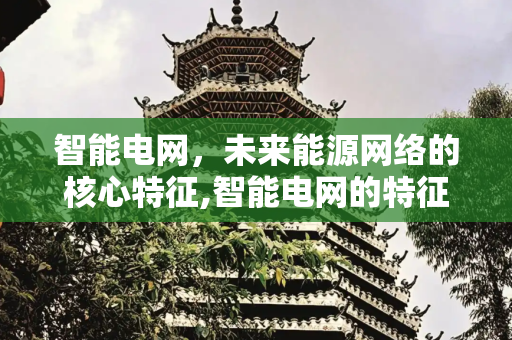 智能电网，未来能源网络的核心特征,智能电网的特征