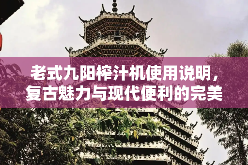 老式九阳榨汁机使用说明，复古魅力与现代便利的完美结合,老式九阳榨汁机使用说明