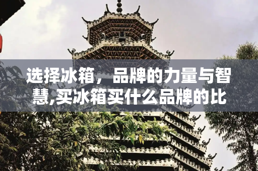 选择冰箱，品牌的力量与智慧,买冰箱买什么品牌的比较好