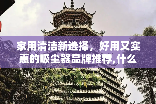 家用清洁新选择，好用又实惠的吸尘器品牌推荐,什么品牌吸尘器好用又实惠