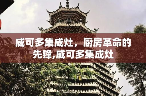 威可多集成灶，厨房革命的先锋,威可多集成灶