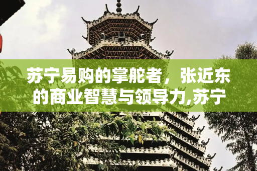 苏宁易购的掌舵者，张近东的商业智慧与领导力,苏宁老板张近东