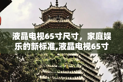 液晶电视65寸尺寸，家庭娱乐的新标准,液晶电视65寸尺寸