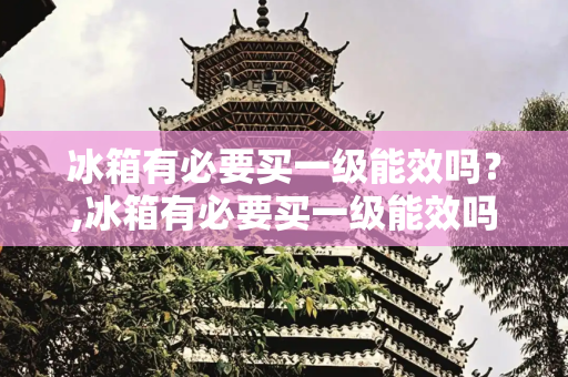 冰箱有必要买一级能效吗？,冰箱有必要买一级能效吗