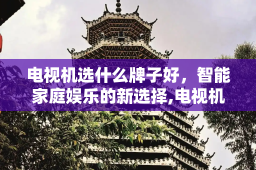 电视机选什么牌子好，智能家庭娱乐的新选择,电视机选什么牌子好
