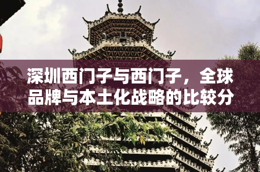 深圳西门子与西门子，全球品牌与本土化战略的比较分析,深圳西门子和西门子的区别