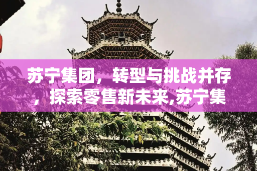 苏宁集团，转型与挑战并存，探索零售新未来,苏宁集团最新现状