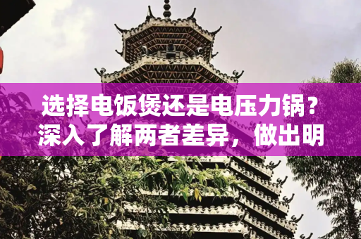 选择电饭煲还是电压力锅？深入了解两者差异，做出明智决策,买电饭煲还是电压力锅好