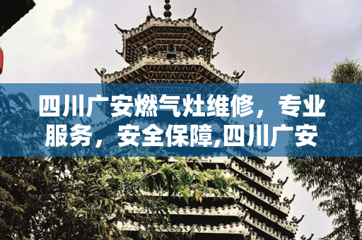 四川广安燃气灶维修，专业服务，安全保障,四川广安燃气灶维修