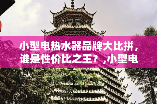 小型电热水器品牌大比拼，谁是性价比之王？,小型电热水器哪个牌子好
