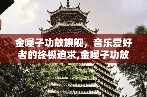 金嗓子功放旗舰，音乐爱好者的终极追求,金嗓子功放旗舰