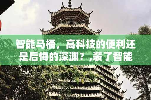 智能马桶，高科技的便利还是后悔的深渊？,装了智能马桶后悔的