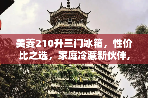美菱210升三门冰箱，性价比之选，家庭冷藏新伙伴,美菱210升三门冰箱价格