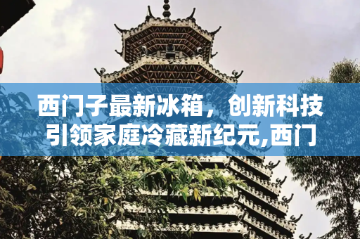 西门子最新冰箱，创新科技引领家庭冷藏新纪元,西门子最新冰箱