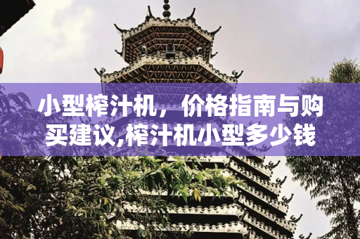 小型榨汁机，价格指南与购买建议,榨汁机小型多少钱一台
