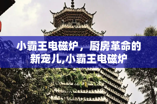 小霸王电磁炉，厨房革命的新宠儿,小霸王电磁炉