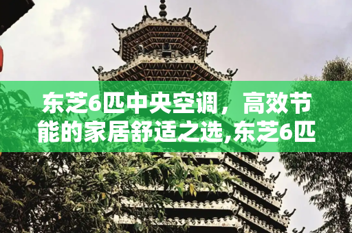 东芝6匹中央空调，高效节能的家居舒适之选,东芝6匹中央空调
