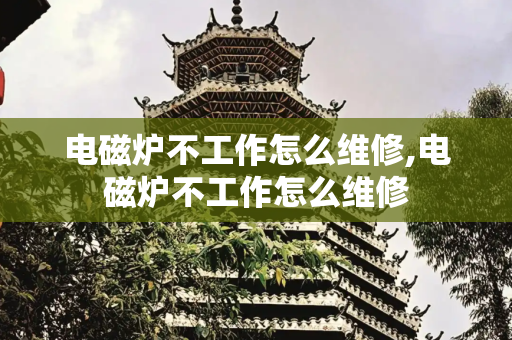电磁炉不工作怎么维修,电磁炉不工作怎么维修