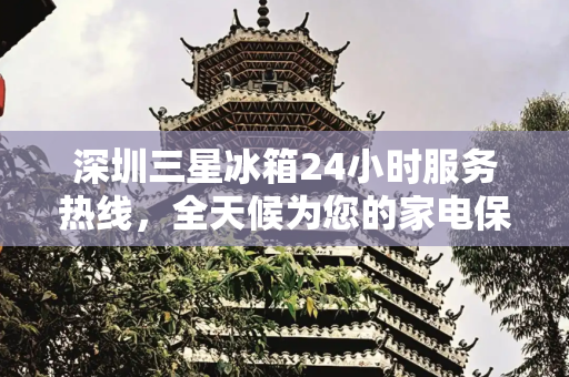 深圳三星冰箱24小时服务热线，全天候为您的家电保驾护航,深圳三星冰箱24小时服务热线