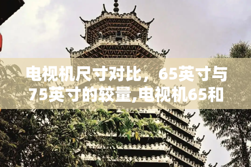 电视机尺寸对比，65英寸与75英寸的较量,电视机65和75尺寸对比示意图