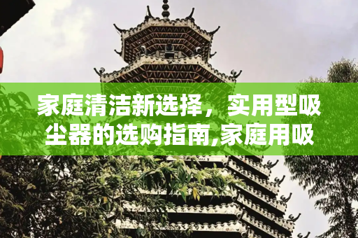 家庭清洁新选择，实用型吸尘器的选购指南,家庭用吸尘器哪种实用