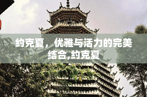 约克夏，优雅与活力的完美结合,约克夏