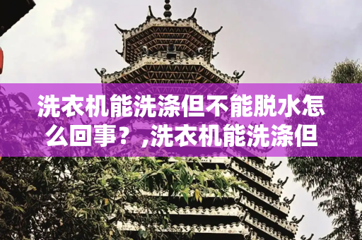 洗衣机能洗涤但不能脱水怎么回事？,洗衣机能洗涤但不能脱水怎么回事