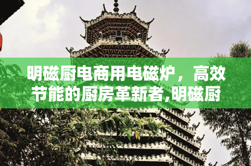 明磁厨电商用电磁炉，高效节能的厨房革新者,明磁厨电商用电磁炉