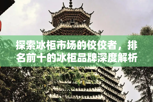 探索冰柜市场的佼佼者，排名前十的冰柜品牌深度解析,排名前十的冰柜品牌