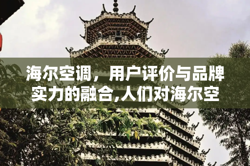 海尔空调，用户评价与品牌实力的融合,人们对海尔空调的评价
