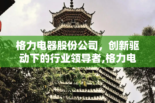 格力电器股份公司，创新驱动下的行业领导者,格力电器股份公司