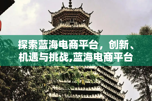 探索蓝海电商平台，创新、机遇与挑战,蓝海电商平台