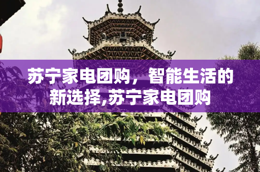 苏宁家电团购，智能生活的新选择,苏宁家电团购