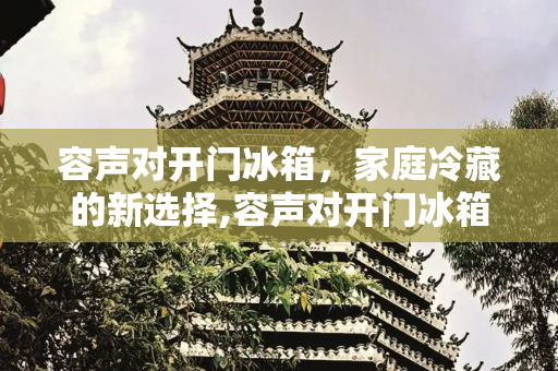 容声对开门冰箱，家庭冷藏的新选择,容声对开门冰箱