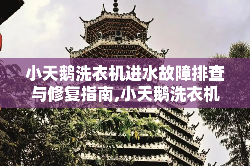 小天鹅洗衣机进水故障排查与修复指南,小天鹅洗衣机怎么进水视频