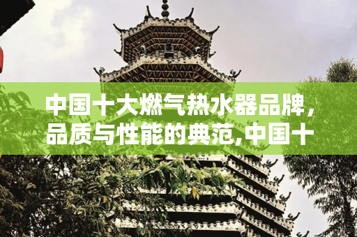 中国十大燃气热水器品牌，品质与性能的典范,中国十大燃气热水器排名
