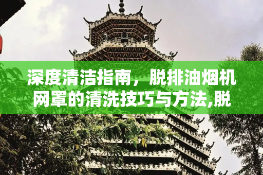 深度清洁指南，脱排油烟机网罩的清洗技巧与方法,脱排油烟机网罩清洗方法