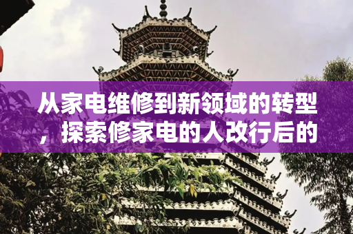 从家电维修到新领域的转型，探索修家电的人改行后的职业道路,修家电的人改行后适合干什么