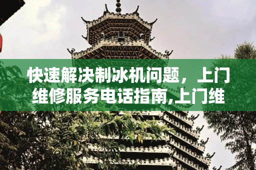 快速解决制冰机问题，上门维修服务电话指南,上门维修制冰机电话