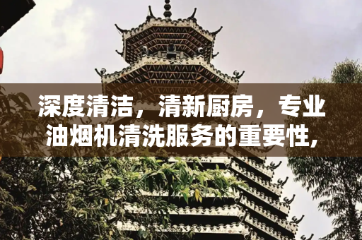 深度清洁，清新厨房，专业油烟机清洗服务的重要性,清洗油烟机服务