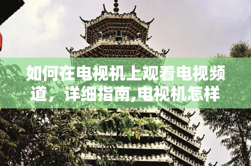 如何在电视机上观看电视频道，详细指南,电视机怎样看电视频道