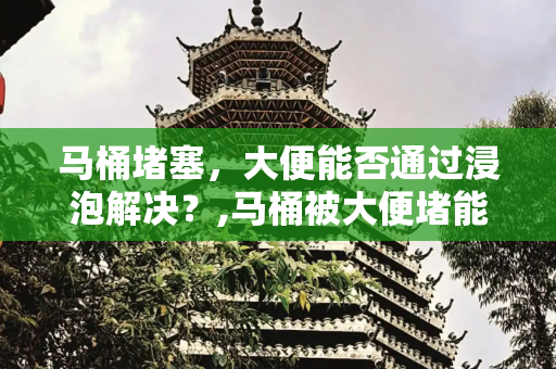 马桶堵塞，大便能否通过浸泡解决？,马桶被大便堵能泡开吗
