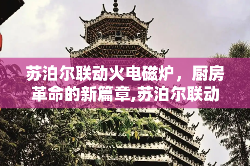 苏泊尔联动火电磁炉，厨房革命的新篇章,苏泊尔联动火电磁炉