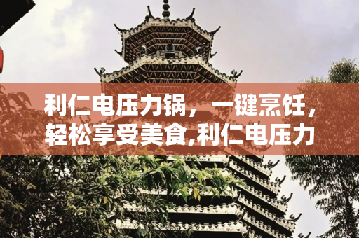 利仁电压力锅，一键烹饪，轻松享受美食,利仁电压力锅使用方法