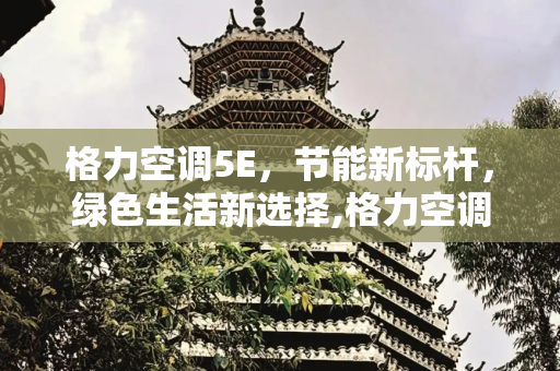 格力空调5E，节能新标杆，绿色生活新选择,格力空调5e真的节能吗