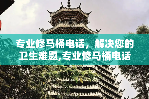专业修马桶电话，解决您的卫生难题,专业修马桶电话