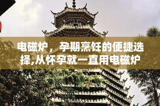 电磁炉，孕期烹饪的便捷选择,从怀孕就一直用电磁炉